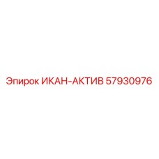 57930976 ИКАН-АКТИВ Epiroc