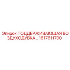 1617611700 ПОДДЕРЖИВАЮЩАЯ ВОЗДУХОДУВКА Epiroc