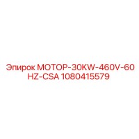 1080415579 МОТОР-30KW-460V-60HZ-CSA Epiroc