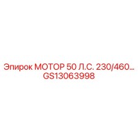 GS13063998 МОТОР 50 Л.С. 230/460… Epiroc