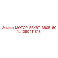 1080411318 МОТОР-55КВТ-380В-60Гц Epiroc