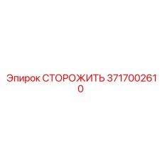 3717002610 СТОРОЖИТЬ Epiroc