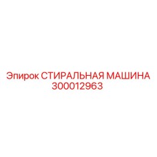 300012963 СТИРАЛЬНАЯ МАШИНА Epiroc