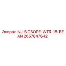 2657847642 INJ-В СБОРЕ-WTR-18-BEAN Epiroc