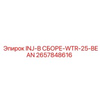 2657848616 INJ-В СБОРЕ-WTR-25-BEAN Epiroc