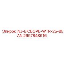 2657848616 INJ-В СБОРЕ-WTR-25-BEAN Epiroc