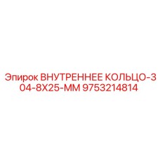 9753214814 ВНУТРЕННЕЕ КОЛЬЦО-304-8X25-MM Epiroc