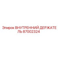 87002324 ВНУТРЕННИЙ ДЕРЖАТЕЛЬ Epiroc