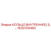 1630700482 КОЛЬЦО ВНУТРЕННЕЕ (5) Эпирок