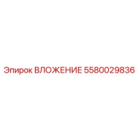 5580029836 ВЛОЖЕНИЕ Epiroc