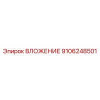 9106248501 ВЛОЖЕНИЕ Epiroc