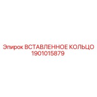1901015879 Вставленное Кольцо Epiroc