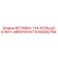 8393082784 ВСТАВКА-114-КОЛЬЦО-КЛЮЧ-3869700107 Epiroc