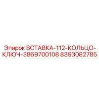 8393082785 ВСТАВКА-112-КОЛЬЦО-КЛЮЧ-3869700108 Epiroc