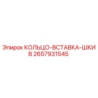 2657931545 КОЛЬЦО-ВСТАВКА-ШКИВ Epiroc
