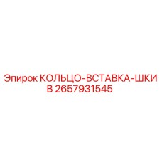 2657931545 КОЛЬЦО-ВСТАВКА-ШКИВ Epiroc