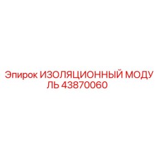 43870060 ИЗОЛЯЦИОННЫЙ МОДУЛЬ Epiroc