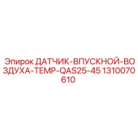 1310070610 ДАТЧИК-ВПУСКНОЙ-ВОЗДУХА-TEMP-QAS25-45 Epiroc