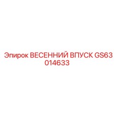 GS63014633 ВЕСЕННИЙ ВПУСК Epiroc