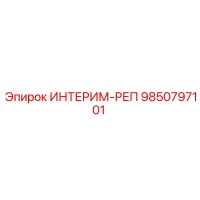 9850797101 ИНТЕРИМ-РЕП (Epiroc)