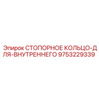 9753229339 СТОПОРНОЕ КОЛЬЦО ДЛЯ ВНУТРЕННЕГО Epiroc