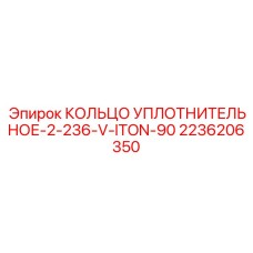Химически стойкое уплотнение Iton 2236206350