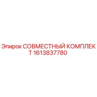 1613837780 СОВМЕСТНЫЙ КОМПЛЕКТ Epiroc