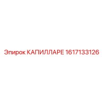 1617133126 КАПИЛЛАРЕ Epiroc