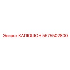 5575502800 КАПЮШОН (Epiroc)