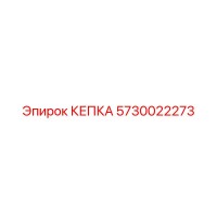 5730022273 КЕПКА Epiroc
