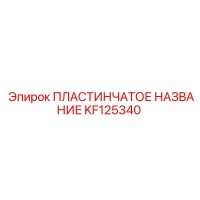 KF125340 ПЛАСТИНЧАТОЕ НАЗВАНИЕ Epiroc