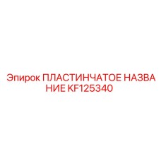 KF125340 ПЛАСТИНЧАТОЕ НАЗВАНИЕ Epiroc