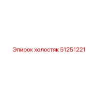 51251221 ХОЛОСТЯК Epiroc