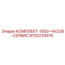 9753233619 КОМПЛЕКТ 1000 ЧАСОВ СЕРВИС Epiroc