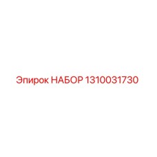 1310031730 НАБОР Epiroc