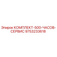 9753233618 КОМПЛЕКТ 500 ЧАСОВ СЕРВИС Epiroc