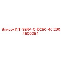 2904500054 KIT-SERV-C-D250-40 Epiroc