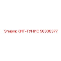 58338377 КИТ-ТУНИС Epiroc