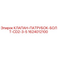 1624012100 КЛАПАН-ПАТРУБОК-БОЛТ-CD2-3-5 Epiroc