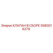 5580016279 КЛАПАН В СБОРЕ - Epiroc