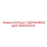 2658253241 КОЛЬЦО-УДЕРЖИВАЮЩЕЕ Epiroc