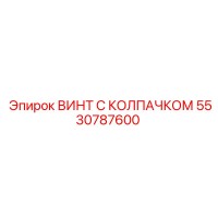 5530787600 ВИНТ С КОЛПАЧКОМ Epiroc