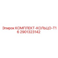2901323142 КОМПЛЕКТ-КОЛЬЦО-T16 Epiroc