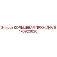 9170920620 КОЛЬЦЕВАЯ ПРУЖИНА Epiroc