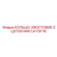 CA119716 КОЛЬЦО-ХВОСТОВИК СЦЕПЛЕНИЯ Epiroc