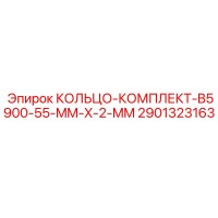 2901323163 КОЛЬЦО-КОМПЛЕКТ-B5900-55-MM-X-2-MM Epiroc