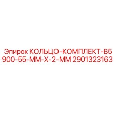 2901323163 КОЛЬЦО-КОМПЛЕКТ-B5900-55-MM-X-2-MM Epiroc