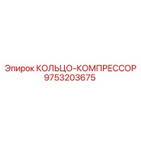 9753203675 КОЛЬЦО-КОМПРЕССОР Epiroc