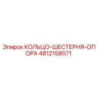 4812158571 КОЛЬЦО-ШЕСТЕРНЯ-ОПОРА Epiroc