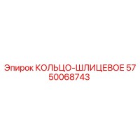 5750068743 КОЛЬЦО-ШЛИЦЕВОЕ Epiroc